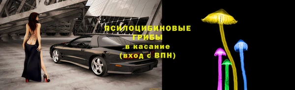 гашик Алексеевка