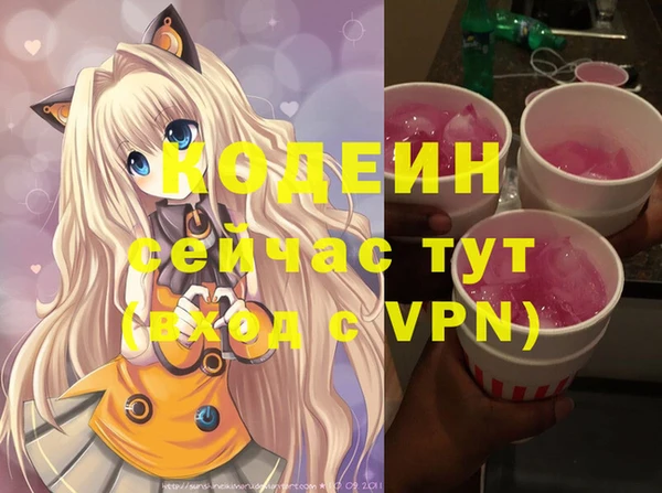 гашик Алексеевка