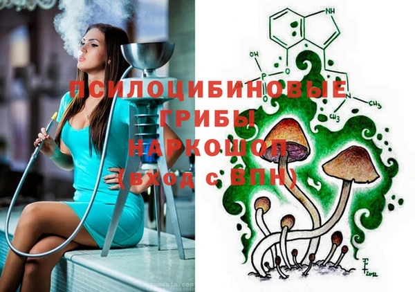 сатива Алексин