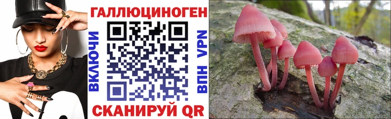 Псилоцибиновые грибы MAGIC MUSHROOMS  кракен   Карасук 